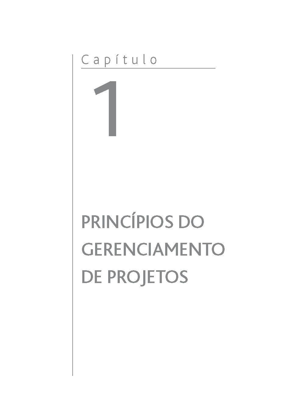 Livro O Que Os Executivos Precisam Saber Sobre Gerenciamento De Projetos - 