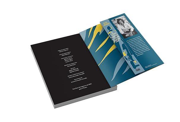Livro - O último sorriso na cidade partida