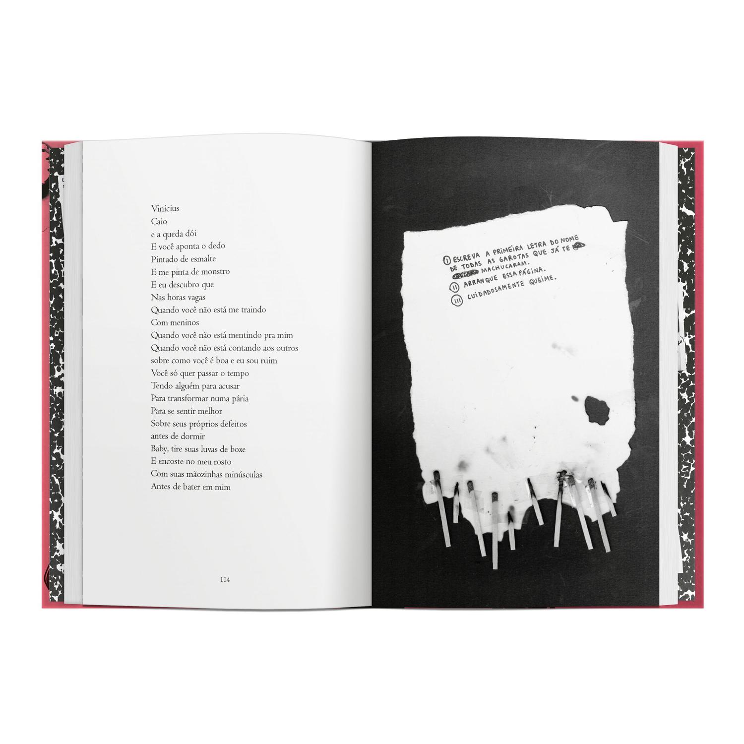 Livro - Oxe, baby