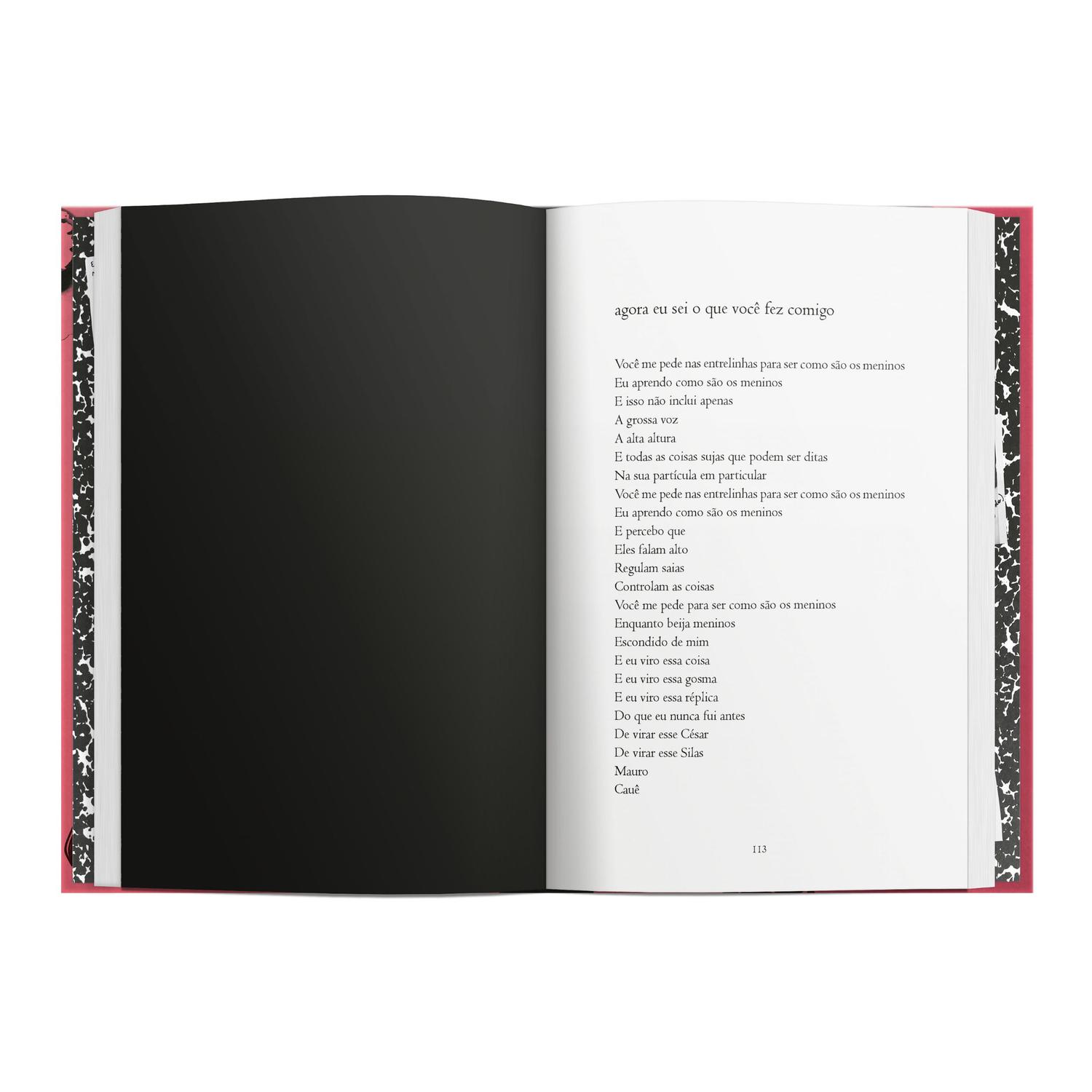 Livro - Oxe, baby