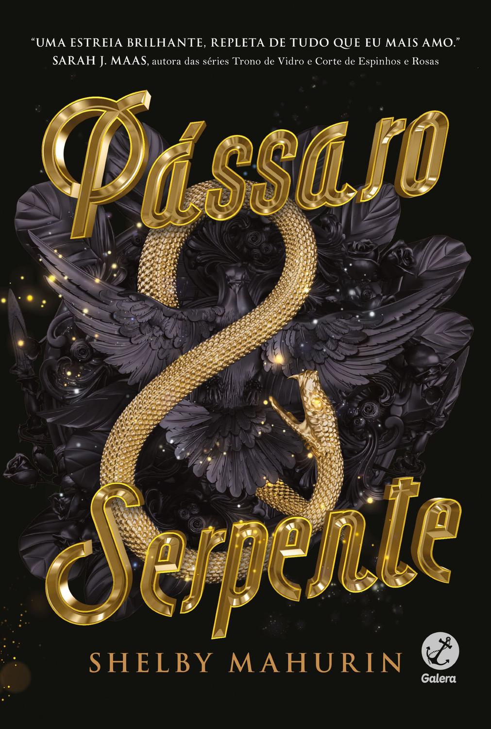 Livro - Pássaro e serpente (Vol. 1)