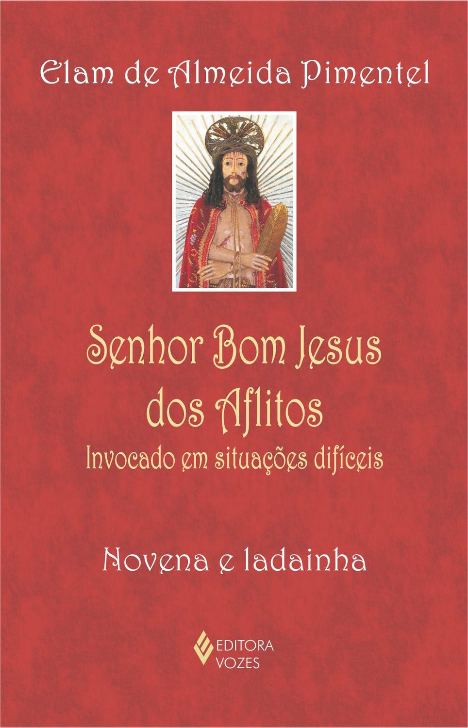Livro - Senhor Bom Jesus dos Aflitos - Livros de Religião - Magazine Luiza