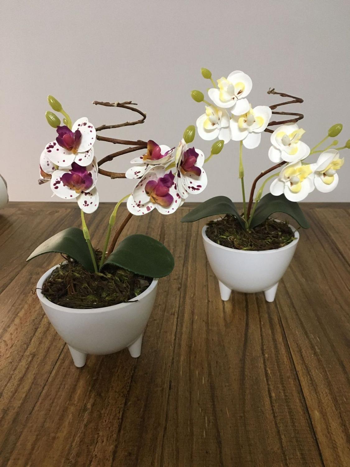 Mini Arranjo de Orquidea (Branca ou Roxa) Vaso com Pés - providencia decor  - Vasos para plantas - Magazine Luiza