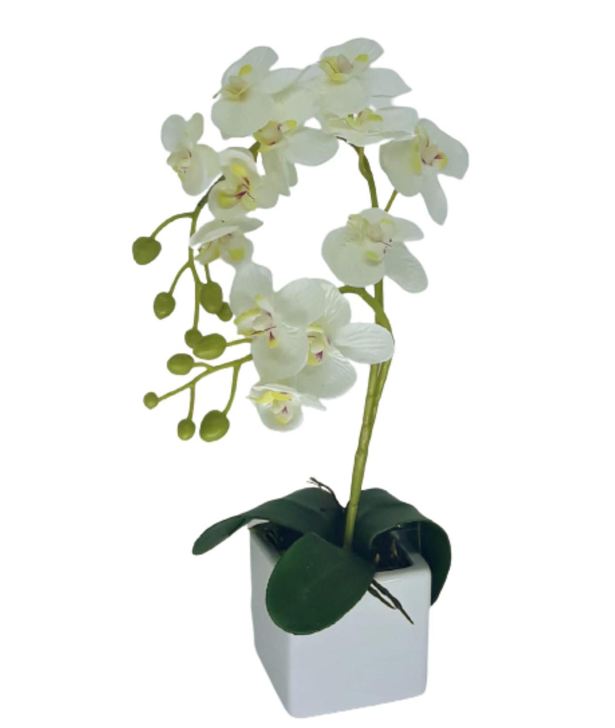 Mini Arranjo Vaso Cerâmica Com Mini Orquídea Branca - Darc Flores E  Arranjos - Flor e Planta Artificial - Magazine Luiza