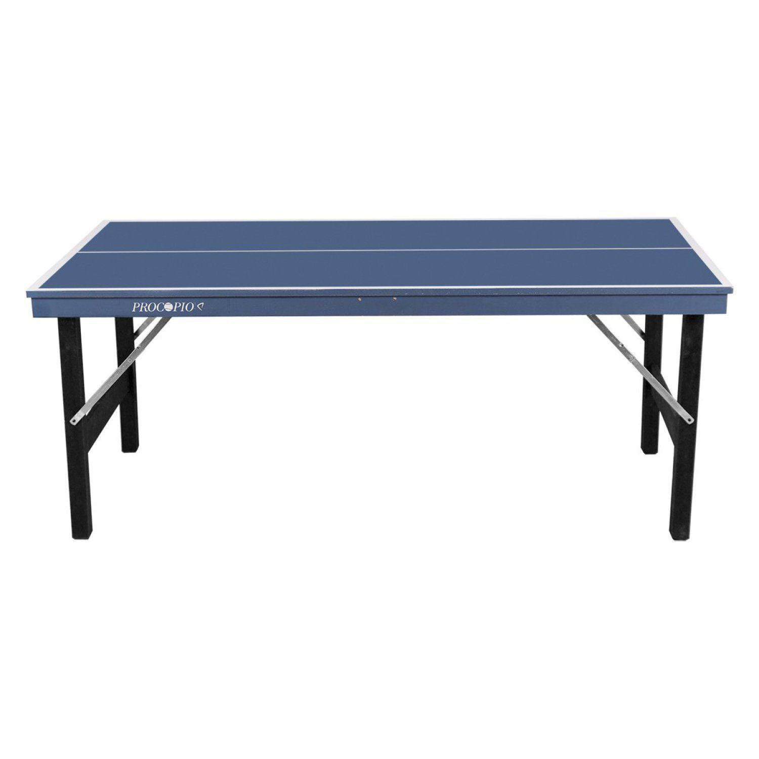 Mini Mesa de Ping Pong –