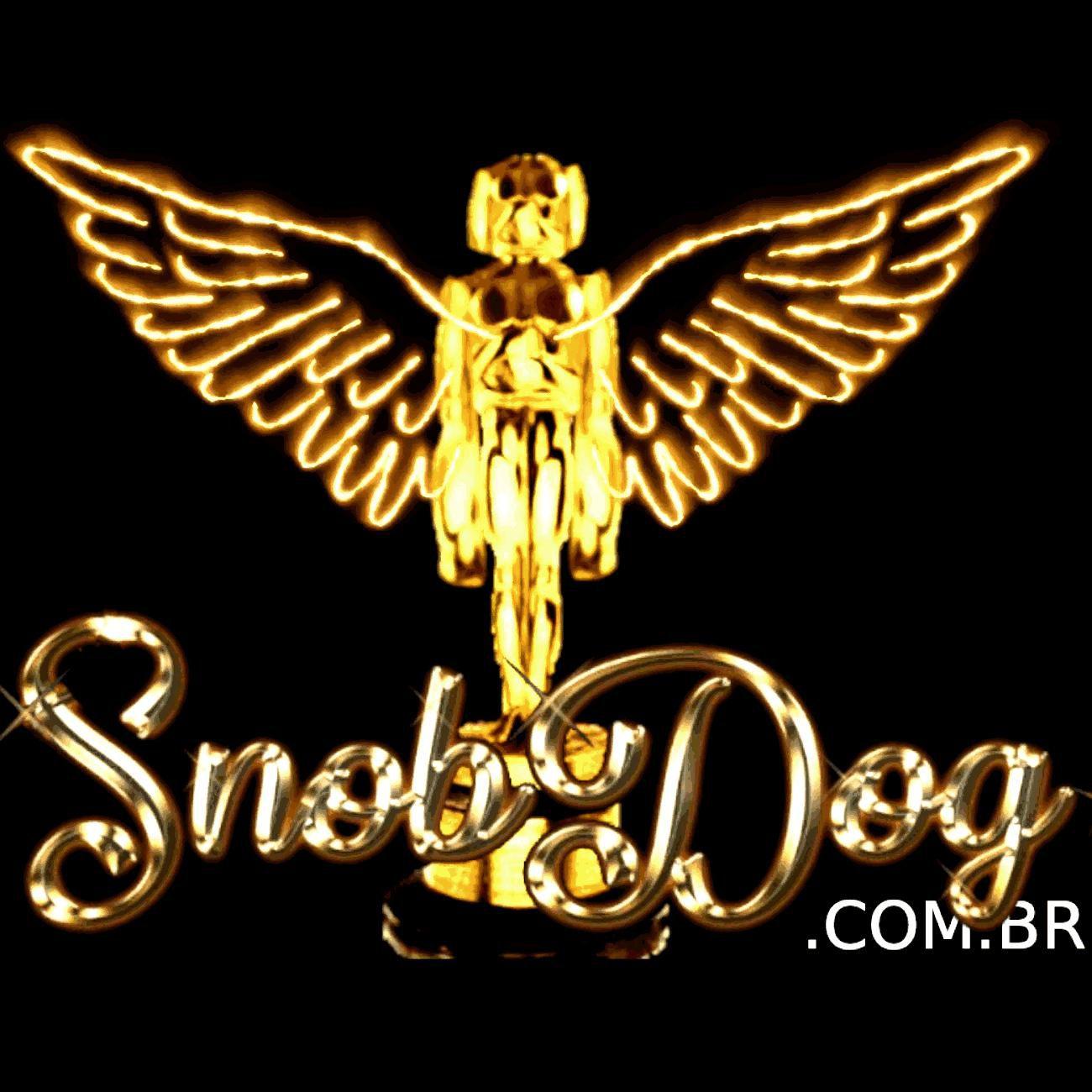 top dawg moletom com capuz