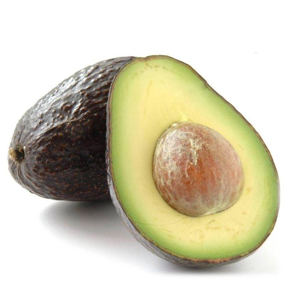 Imagem de Muda De Abacate Avocado - Feito Por Enxertia