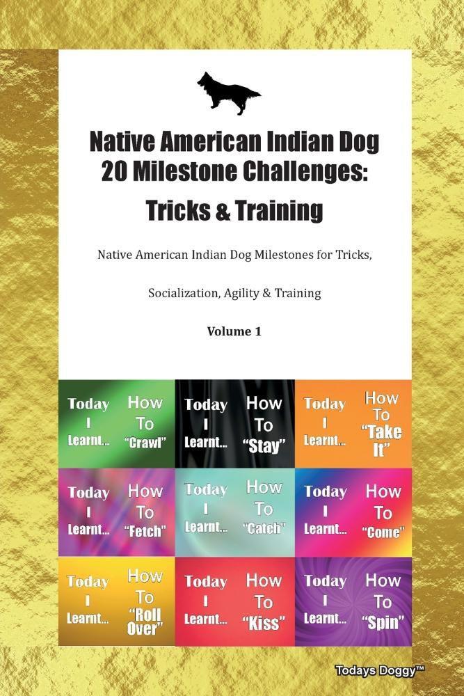 american indian font american indian font
