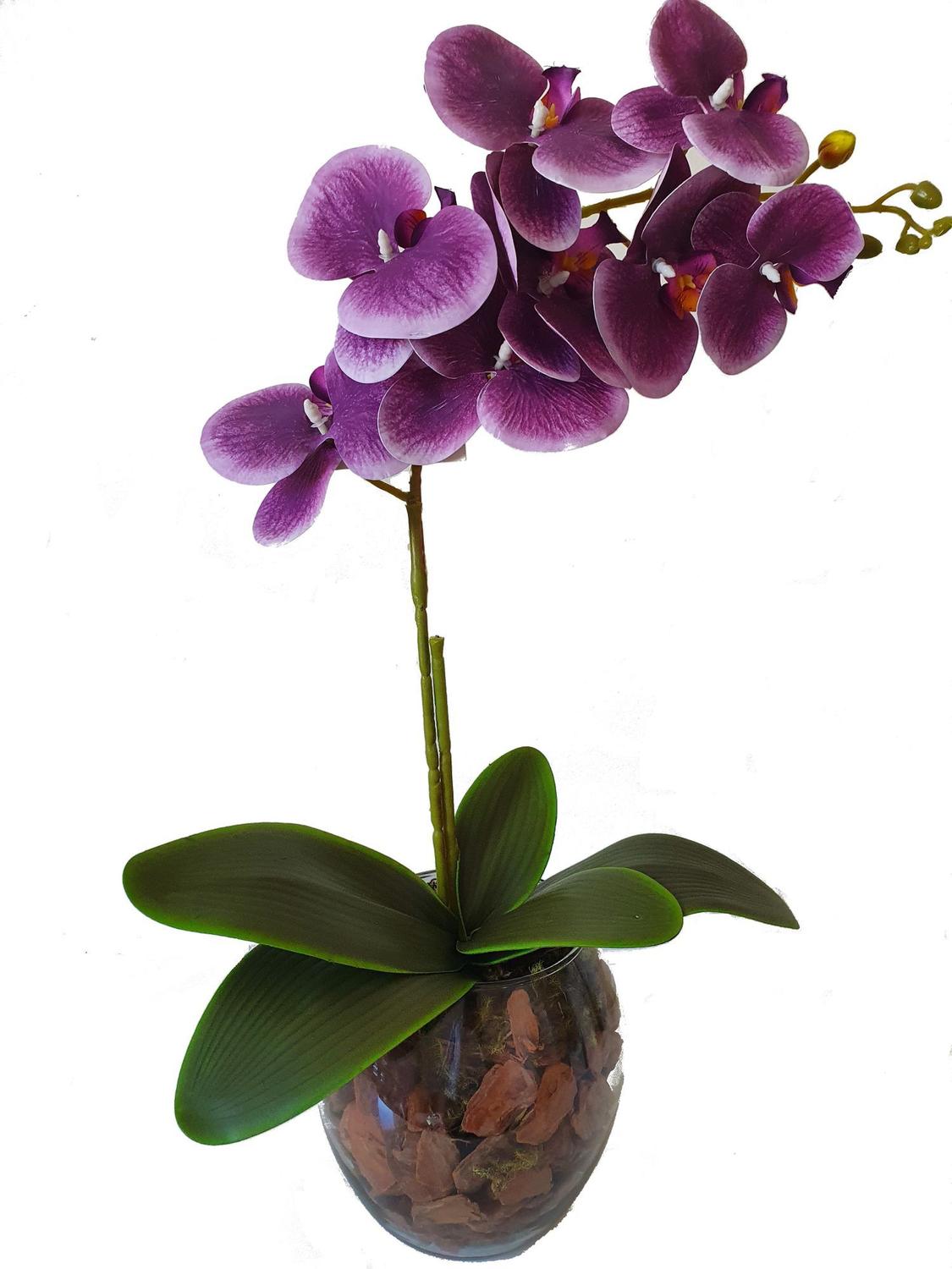Orquídea Artificial Roxa Arranjo Decorativo Com Vaso de Vidro | Magalu  Empresas | B2B e compras com CNPJ