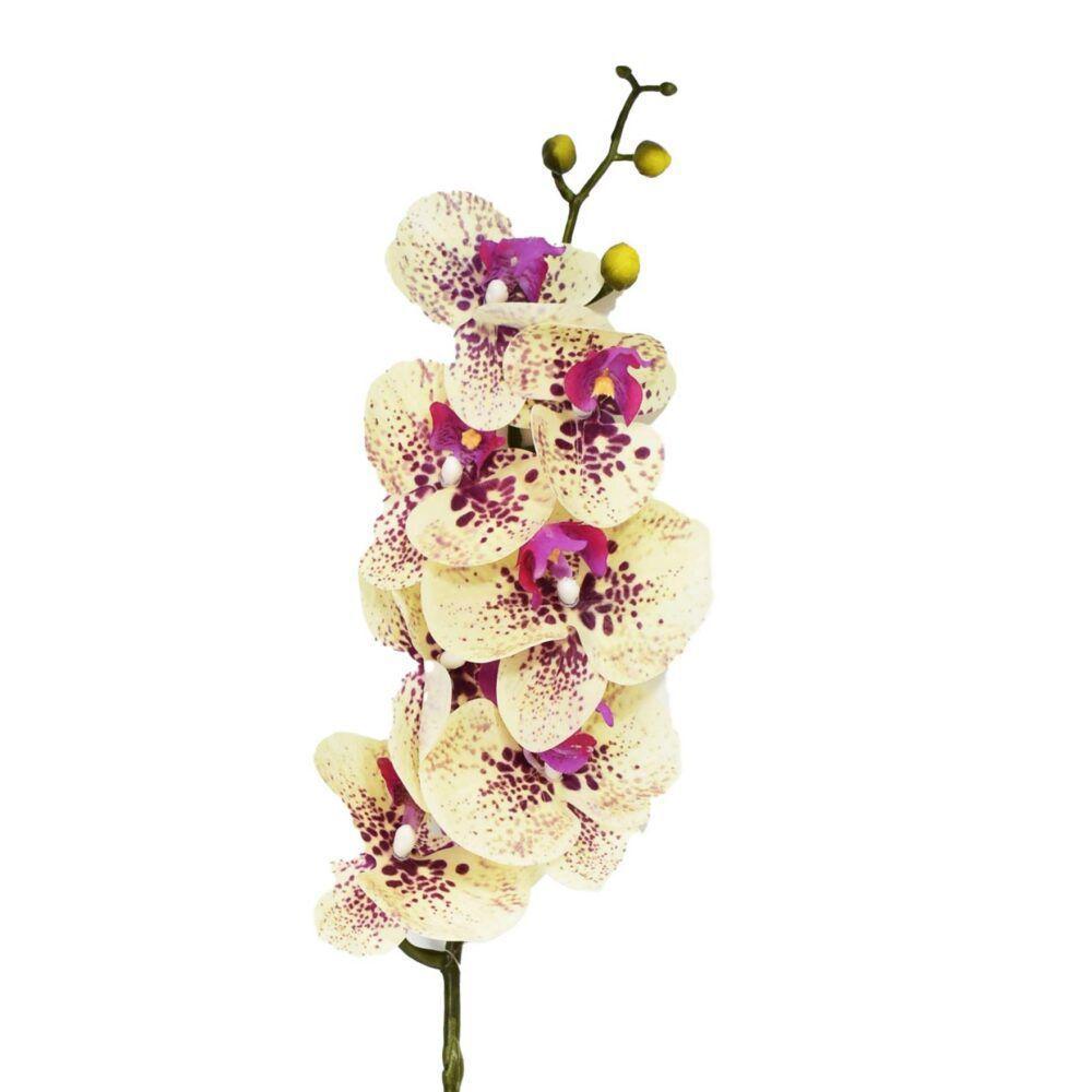 Orquídea Artificiar Phalaenopsis Toque Real Creme Lavanda - Flor Arte -  Flor e Planta Artificial - Magazine Luiza