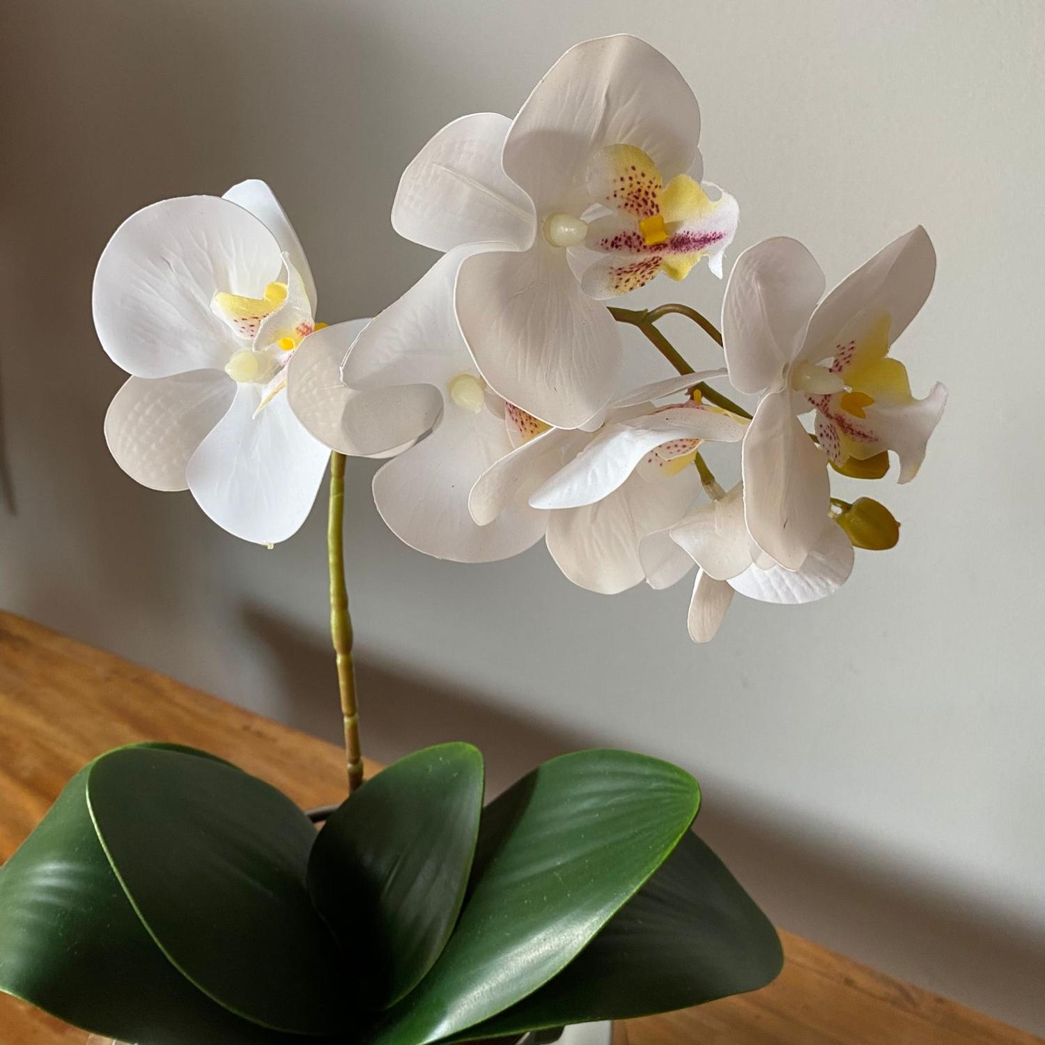 Orquídea Branca Artificial Arranjo no Vaso Espelhado Flores Permanentes -  Decore Fácil Shop - Plantas Artificiais - Magazine Luiza