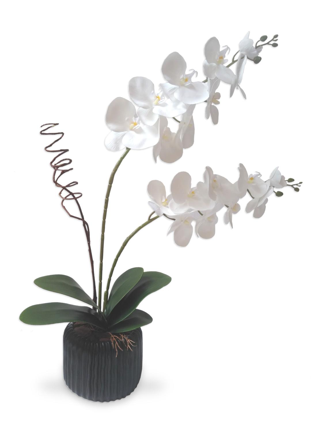 Orquídea De Silicone Arranjo Flor Artificial Vaso Porcelana - Flordecorar -  Flores Artificiais - Magazine Luiza