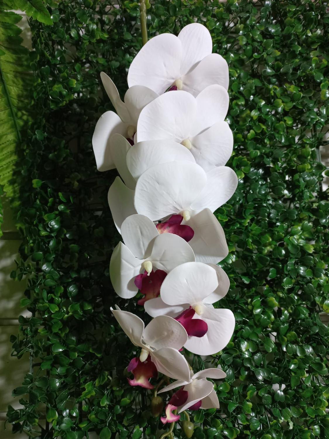 Orquídea De Silicone Artificial Branca Com Miolo Lilas - Qx Flores - Casa  Bonita - Plantas Artificiais - Magazine Luiza