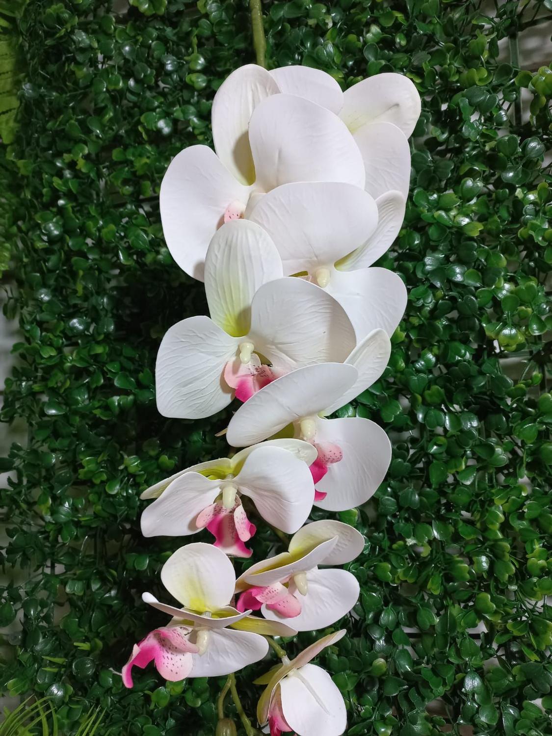 Orquídea De Silicone Artificial Branca Com Miolo Rosa - Qx Flores - Casa  Bonita - Flor e Planta Artificial - Magazine Luiza