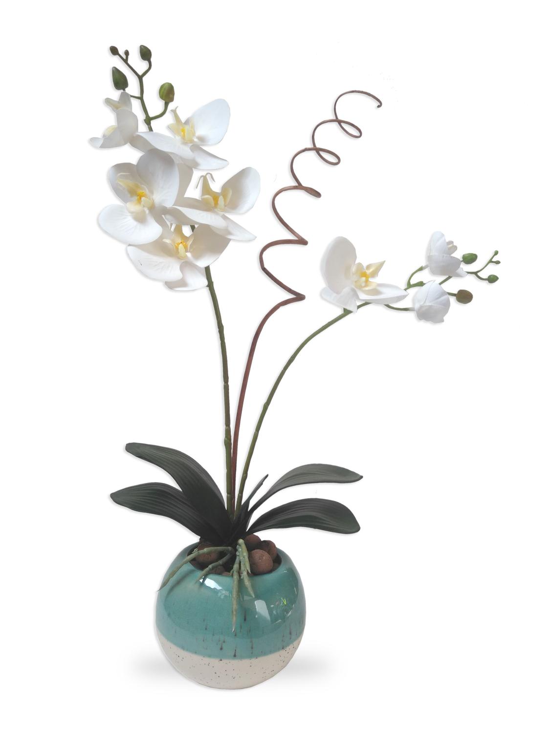 Orquídea Silicone Arranjo Flor Artificial Vaso Em Porcelana - Flordecorar -  Flores Artificiais - Magazine Luiza
