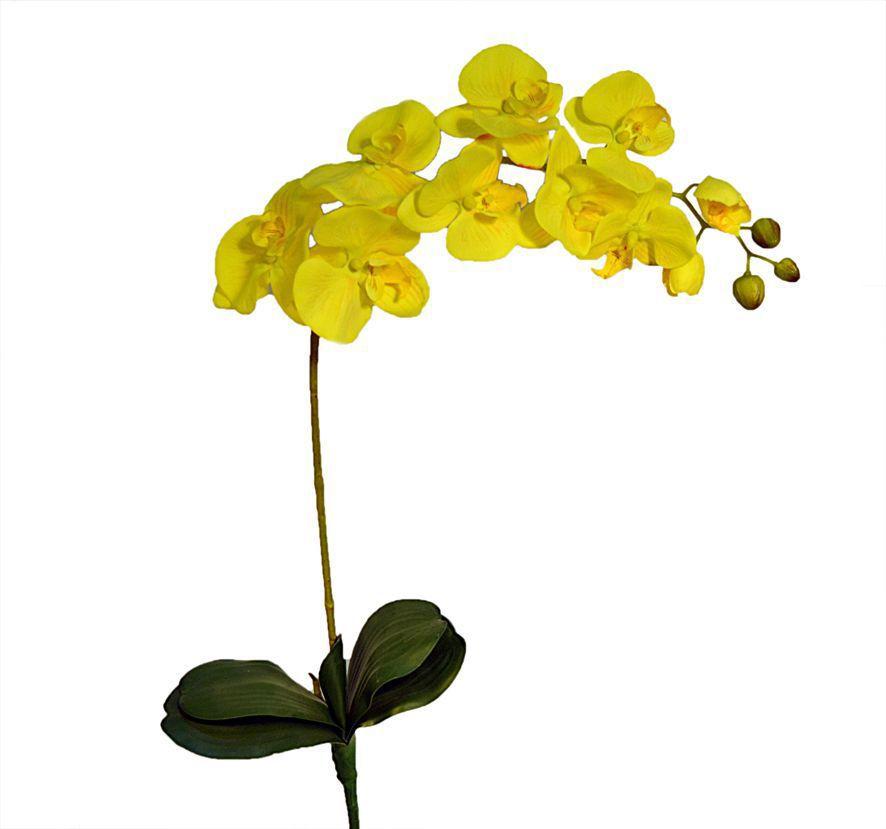 Orquidea tecido c folha e raiz 85cm amarela - BLACK - Tecidos - Magazine  Luiza