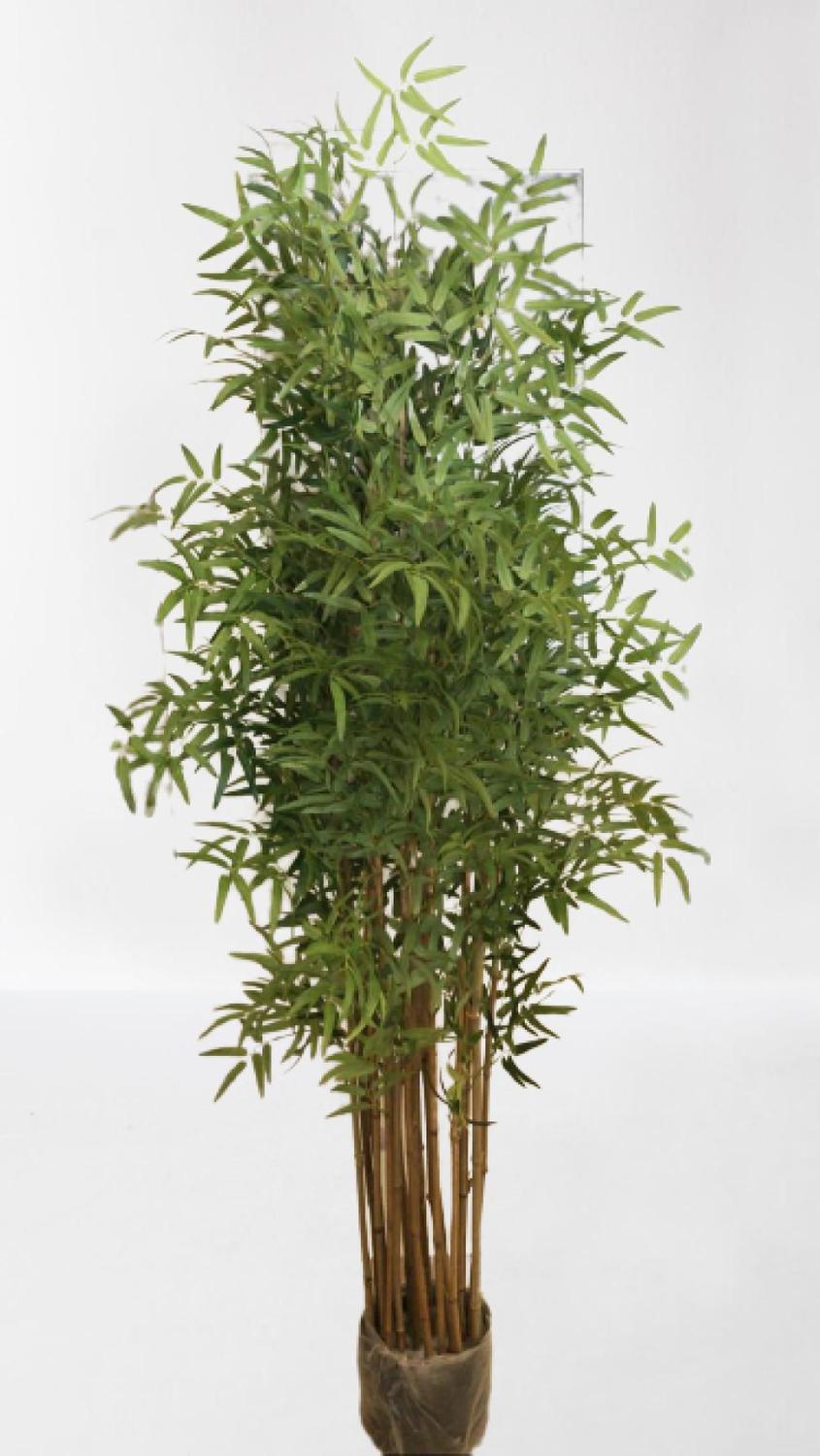 Planta Artificial Permanente Bambu Japonês 1,90 cm Flor Arte - Plantas  Artificiais - Magazine Luiza