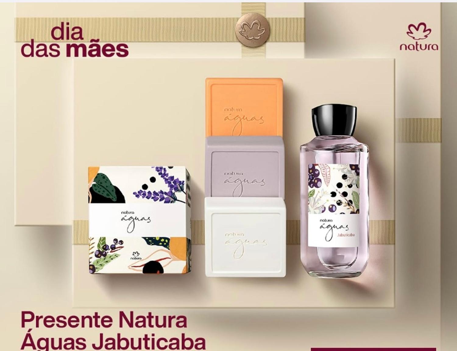 Presente Dia das mãe águas natura jabuticada - Kit de Presentes - Magazine  Luiza