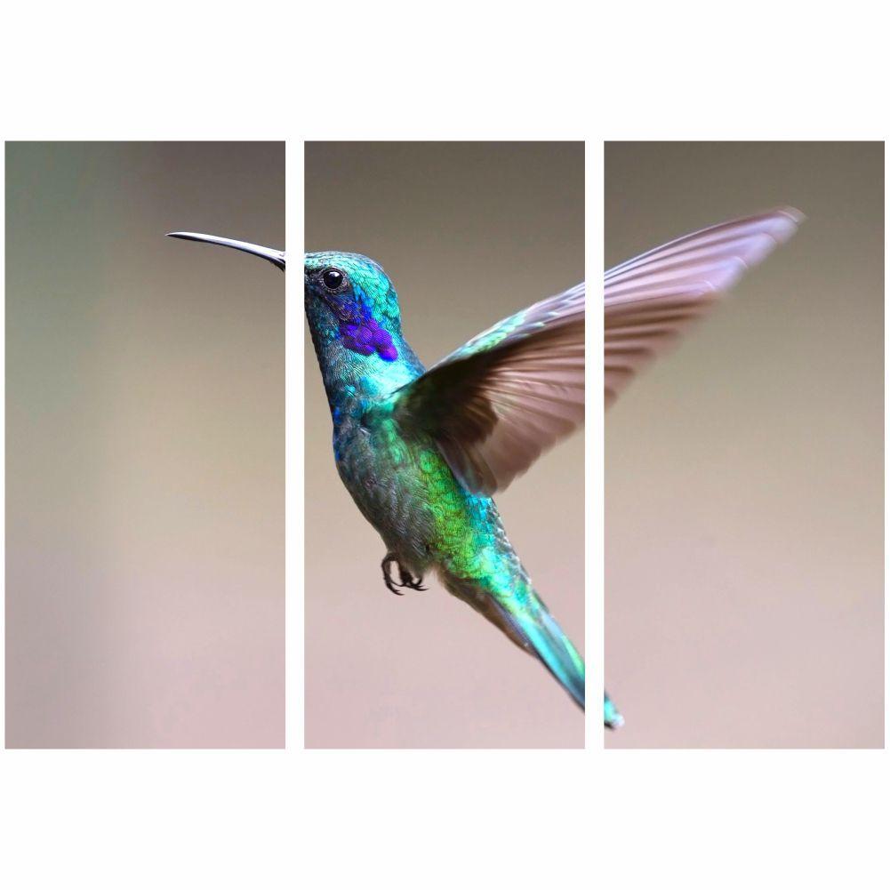 Quadro Beija Flor Passaros Decorativo 95x65 Cm Quadros Mais Quadro Decorativo Magazine Luiza