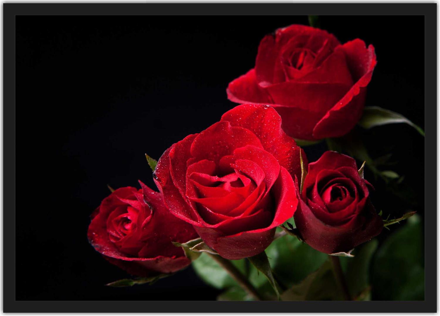 Featured image of post Imagens Fotos De Rosas Vermelhas Por favor envie uma imagem com at no m ximo 10mb