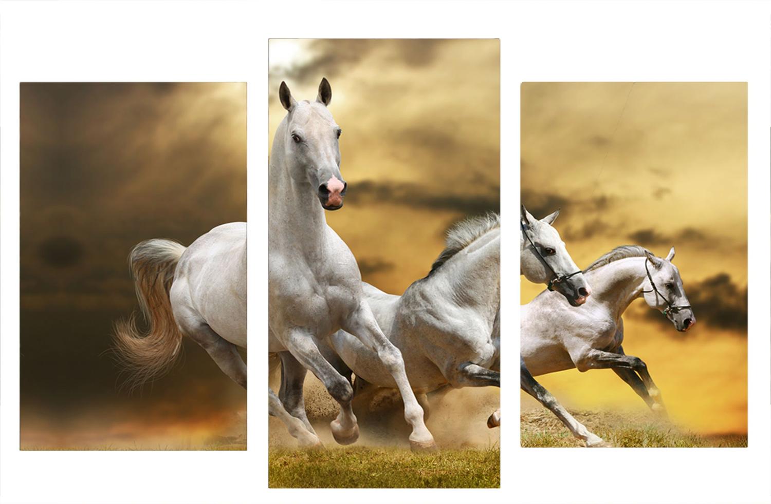 Quadro Impressao Digital 70x120 Conjunto De 3 Pecas Cavalos Brancos Atelier Valverde Quadro Decorativo Magazine Luiza