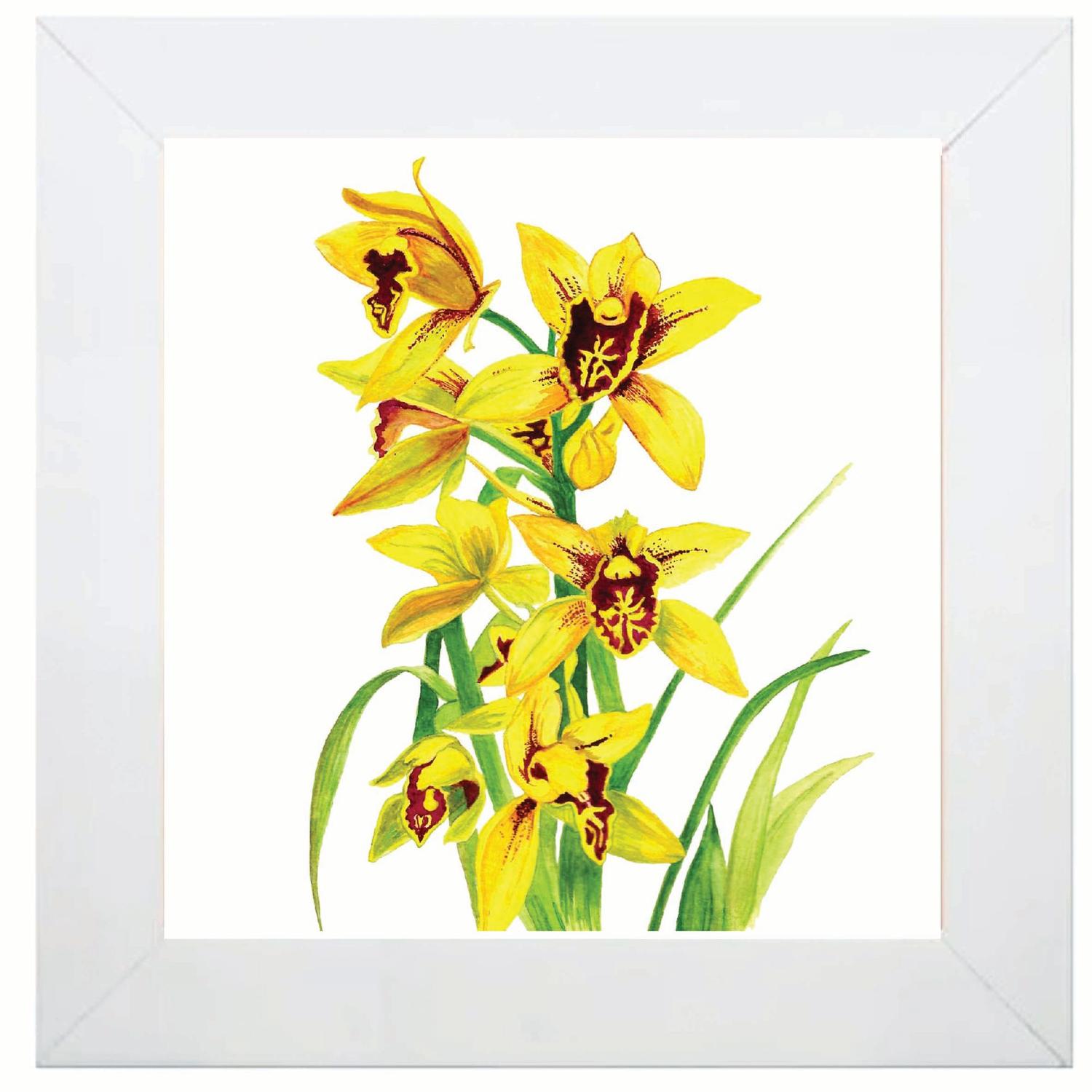 Quadro Orquídea Amarela Grande - tamanho 20X20cm - Zuki Arte e Design -  Quadro Decorativo - Magazine Luiza