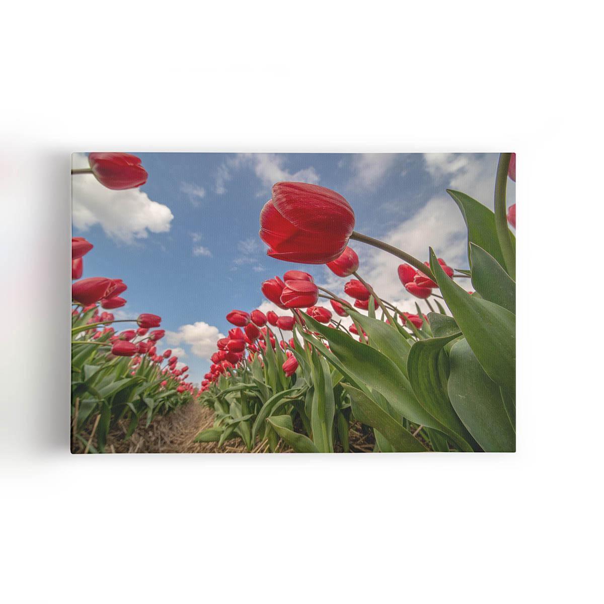 Quadro Plantação Tulipas Vermelhas Flores Canvas 140X90Cm - Plimshop -  Quadro Decorativo - Magazine Luiza