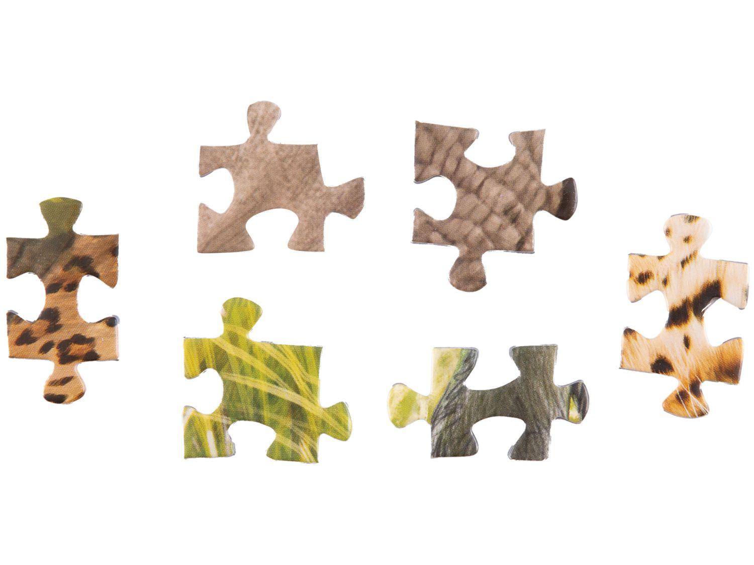 Quebra-cabeça 1000 Peças Puzzle The Big Five