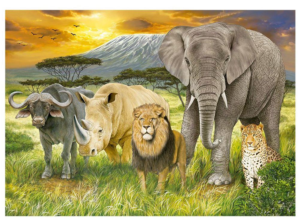 Quebra-cabeça 1000 Peças Puzzle The Big Five