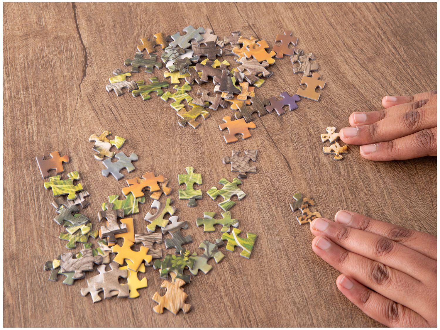 Quebra-cabeça 1000 Peças Puzzle The Big Five