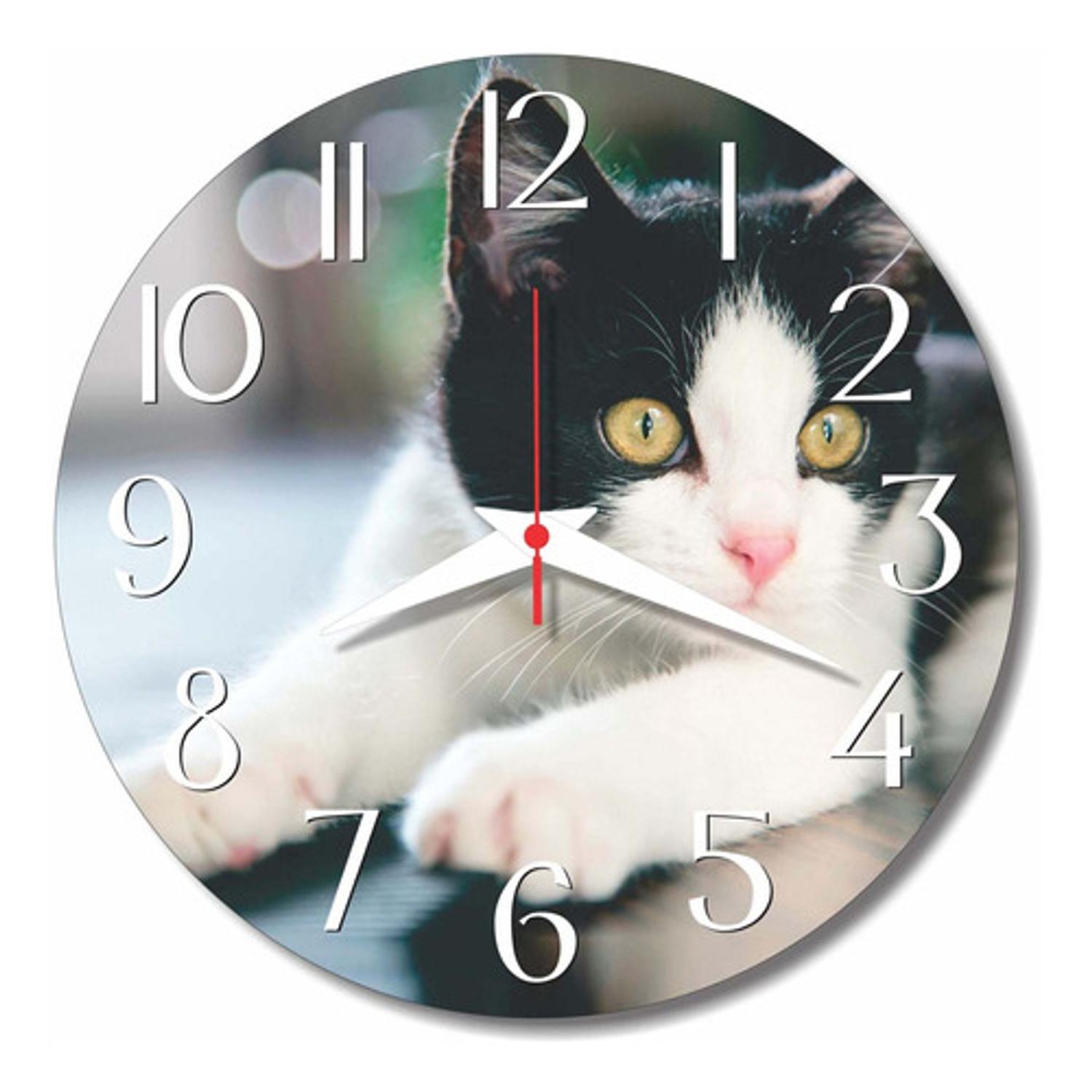 wallpapers Imagens De Gato Preto E Branco parede gato preto branco shop animal