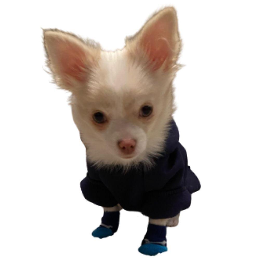 the pet that turns into a moletom com capuz