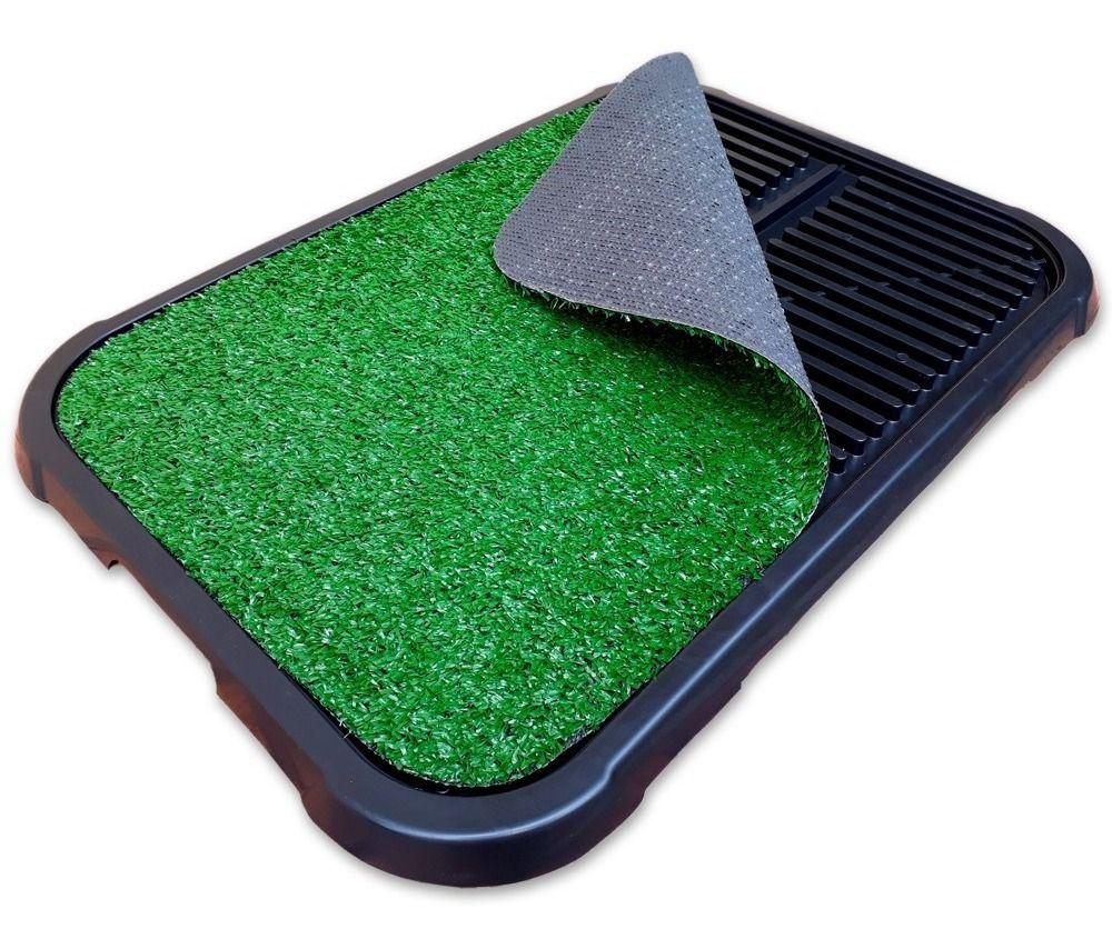 Grama sintetica xixi cachorro Clearance