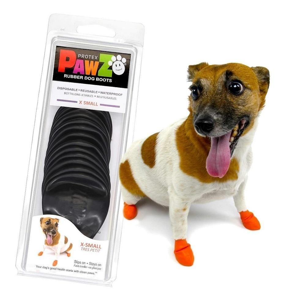 Shitzu Sapatinho Para Cachorro Mercado Livre SHIH TZU DOG Lovely