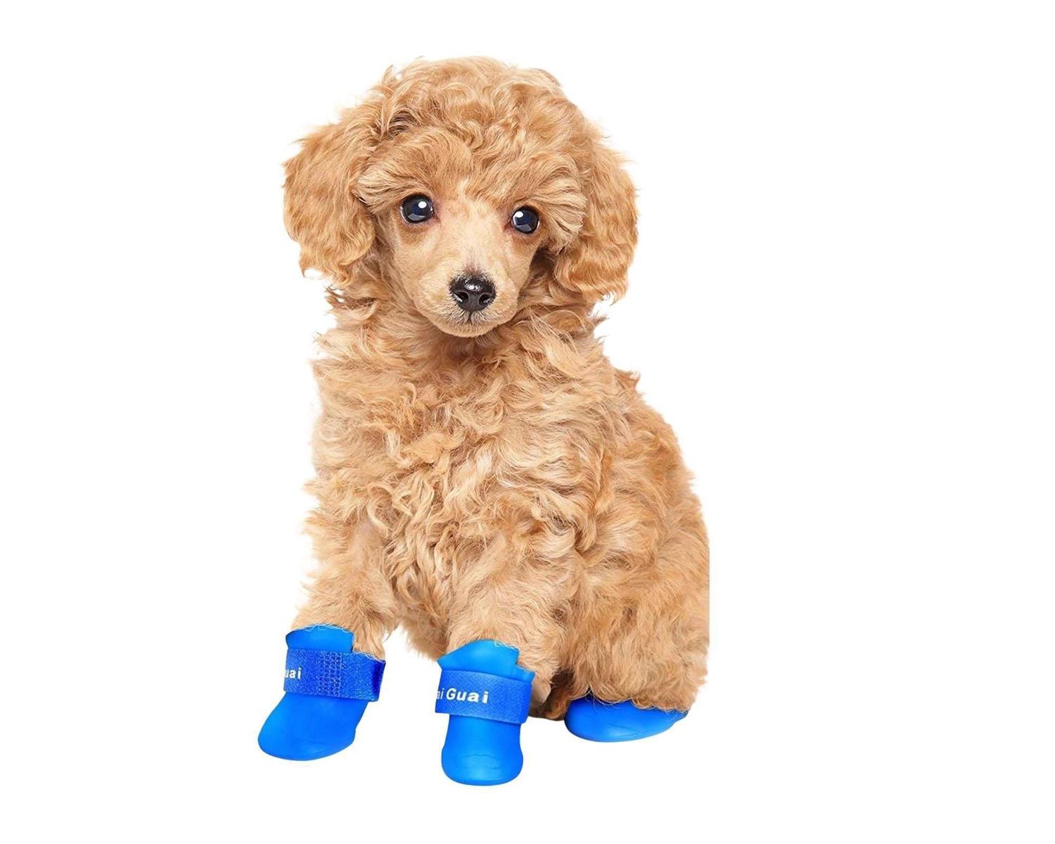 Sapatinho Sapato Cachorros Pet Ajustável Antiderrapante P - chalesco -  Sapato para Cachorro / Gato - Magazine Luiza