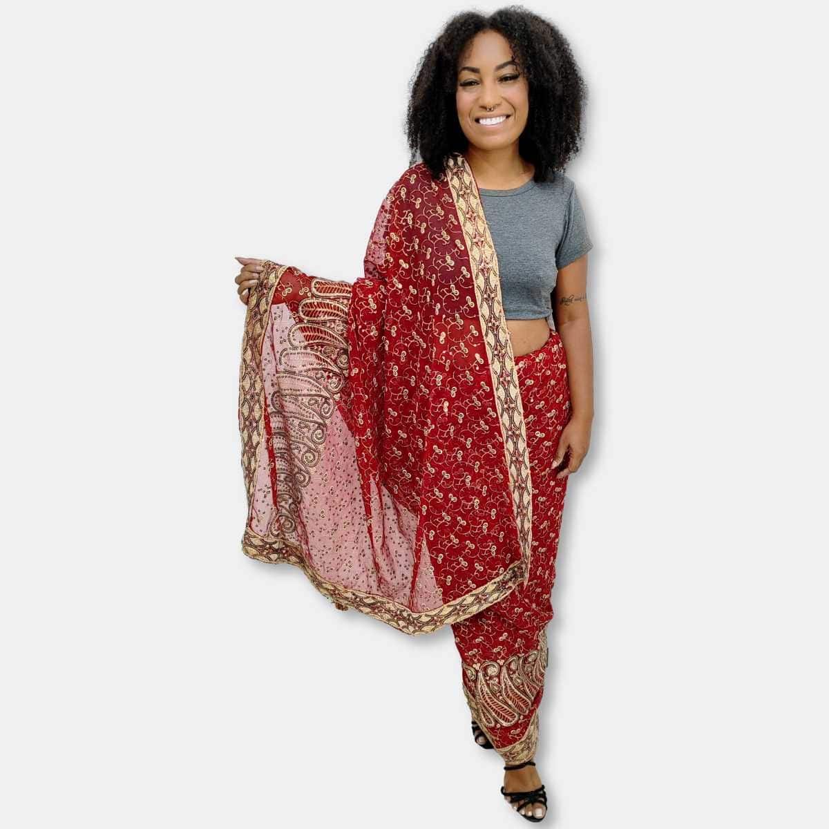 Beleza Indiana Em Saree Sari Saree Indiano Bordado Festa Importado