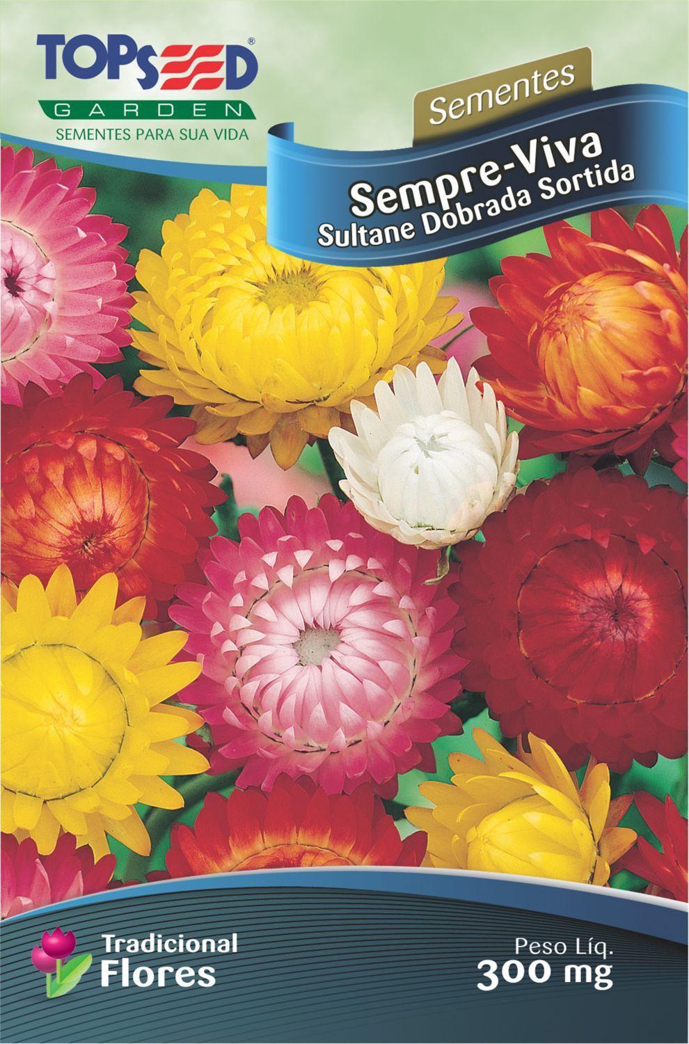 Semente Flor Sempre-Viva Sultane Dobrada - Topseed Garden - Sementes -  Magazine Luiza