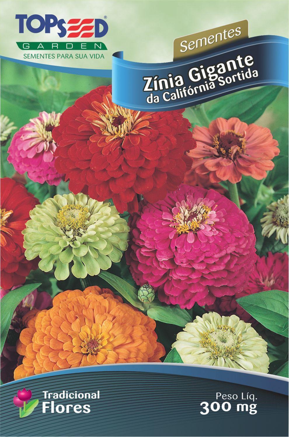 Semente Flor Zínia Gigante Califórnia, Sortido - Topseed Garden - Sementes  - Magazine Luiza