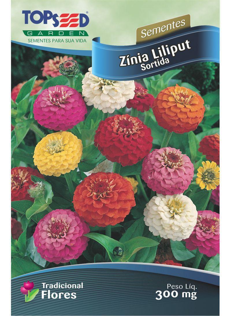 Semente Flor Zínia Liliput, Sortida - Topseed Garden - Sementes - Magazine  Luiza