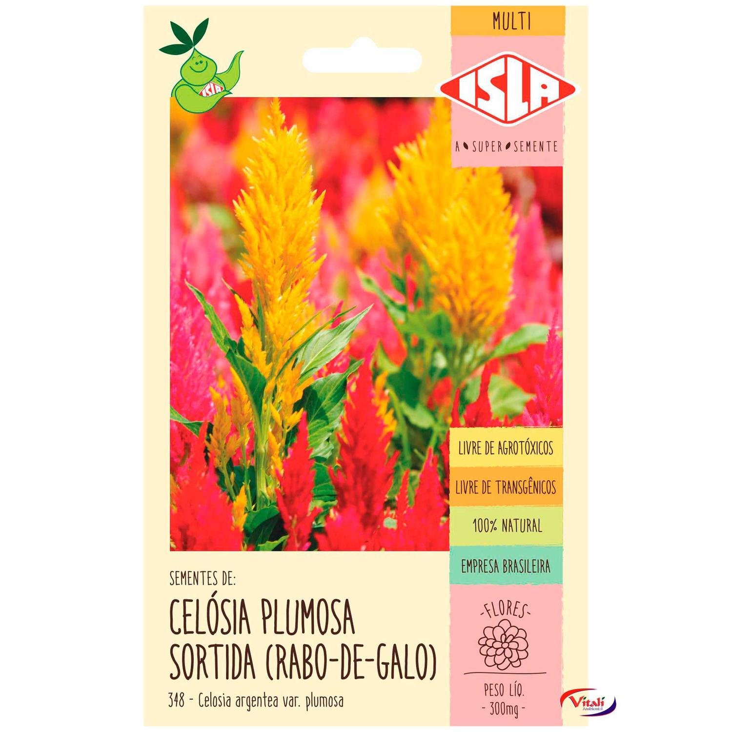 Semente isla flor celósia rabo de galo plumosa - Sementes - Magazine Luiza