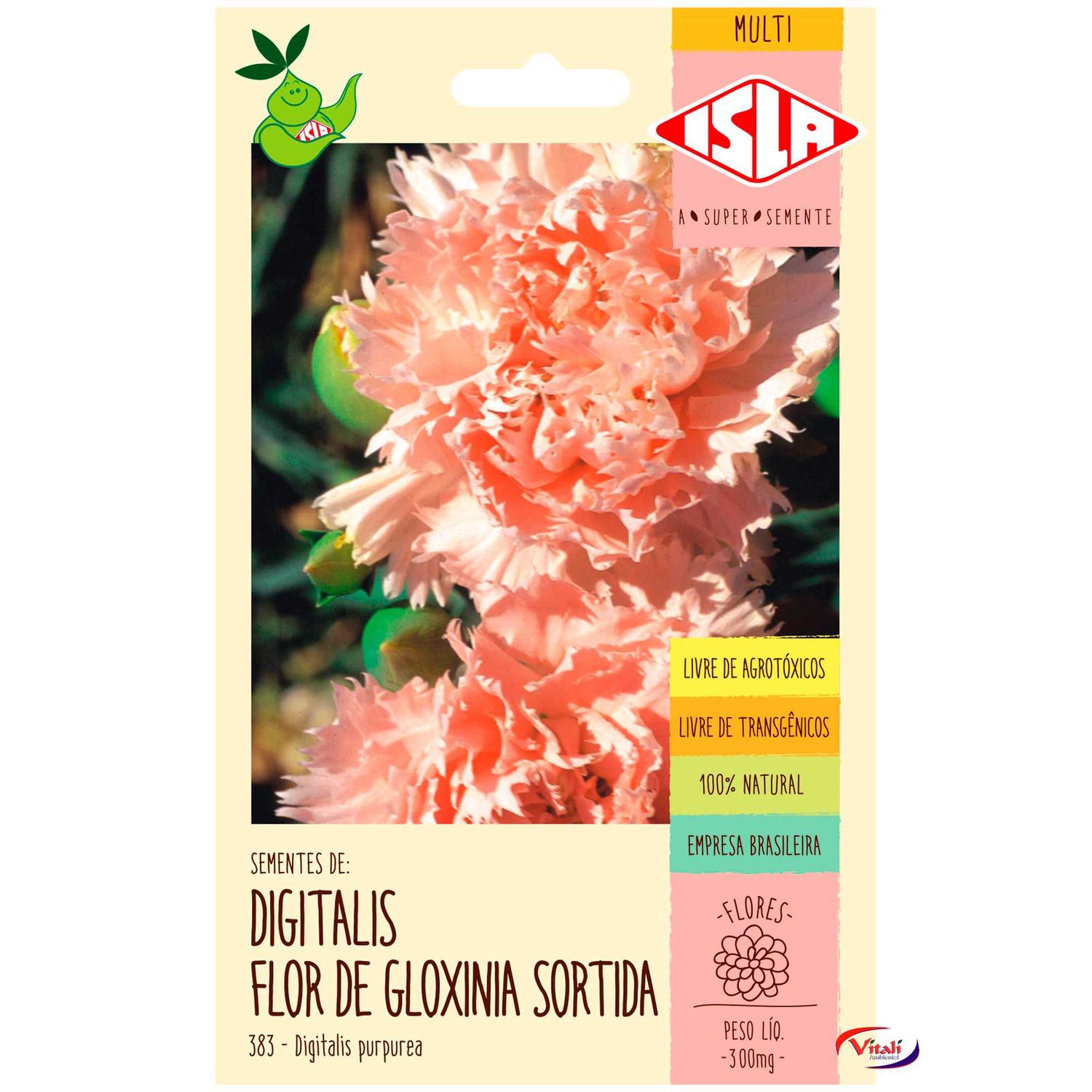 Semente isla flor dedaleira flor gloxinia - Sementes - Magazine Luiza