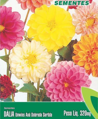 Sementes Flores Para Mudas Dalia Ana Dobrada -20 Env - TOPSEED - Sementes -  Magazine Luiza
