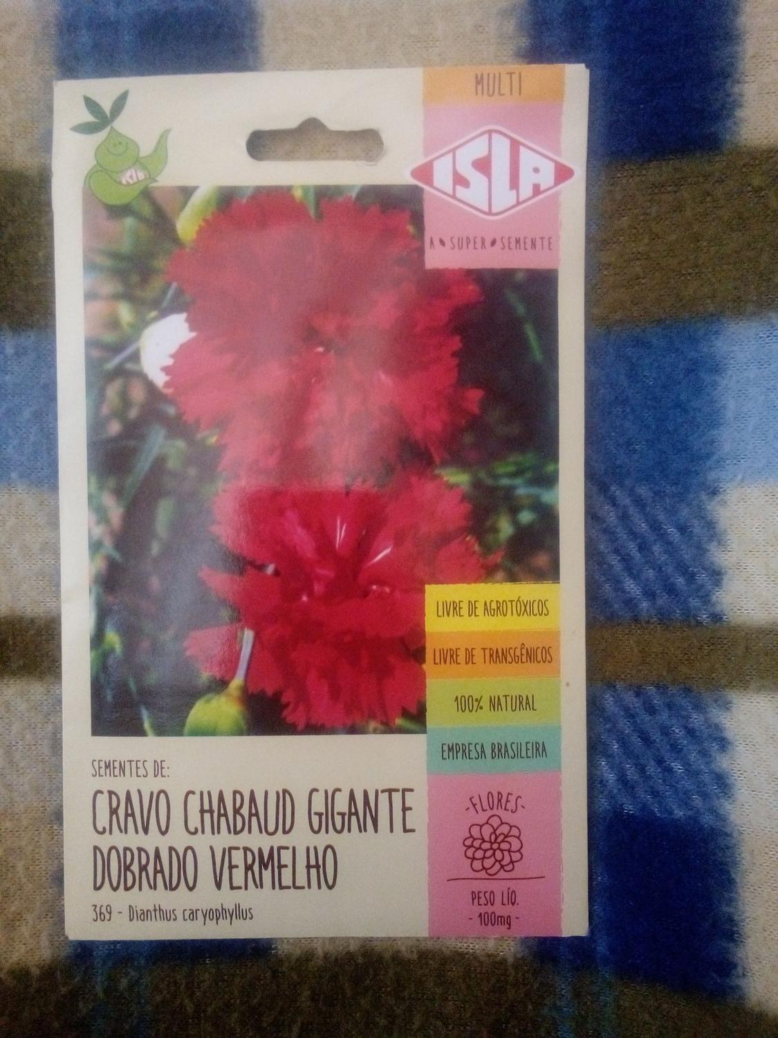 Sementes Florzinhas de Jardim - Cravo Chabaud Gigante Dobrado Vermelho -  Florita/Isla - Sementes - Magazine Luiza