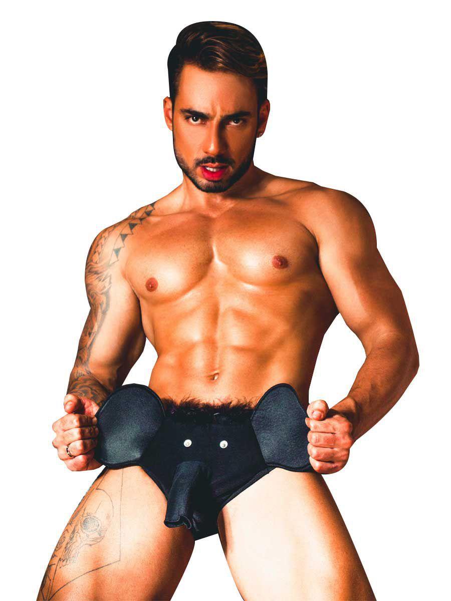 Imagem de Sunga Sex Elefante Cueca com Tromba