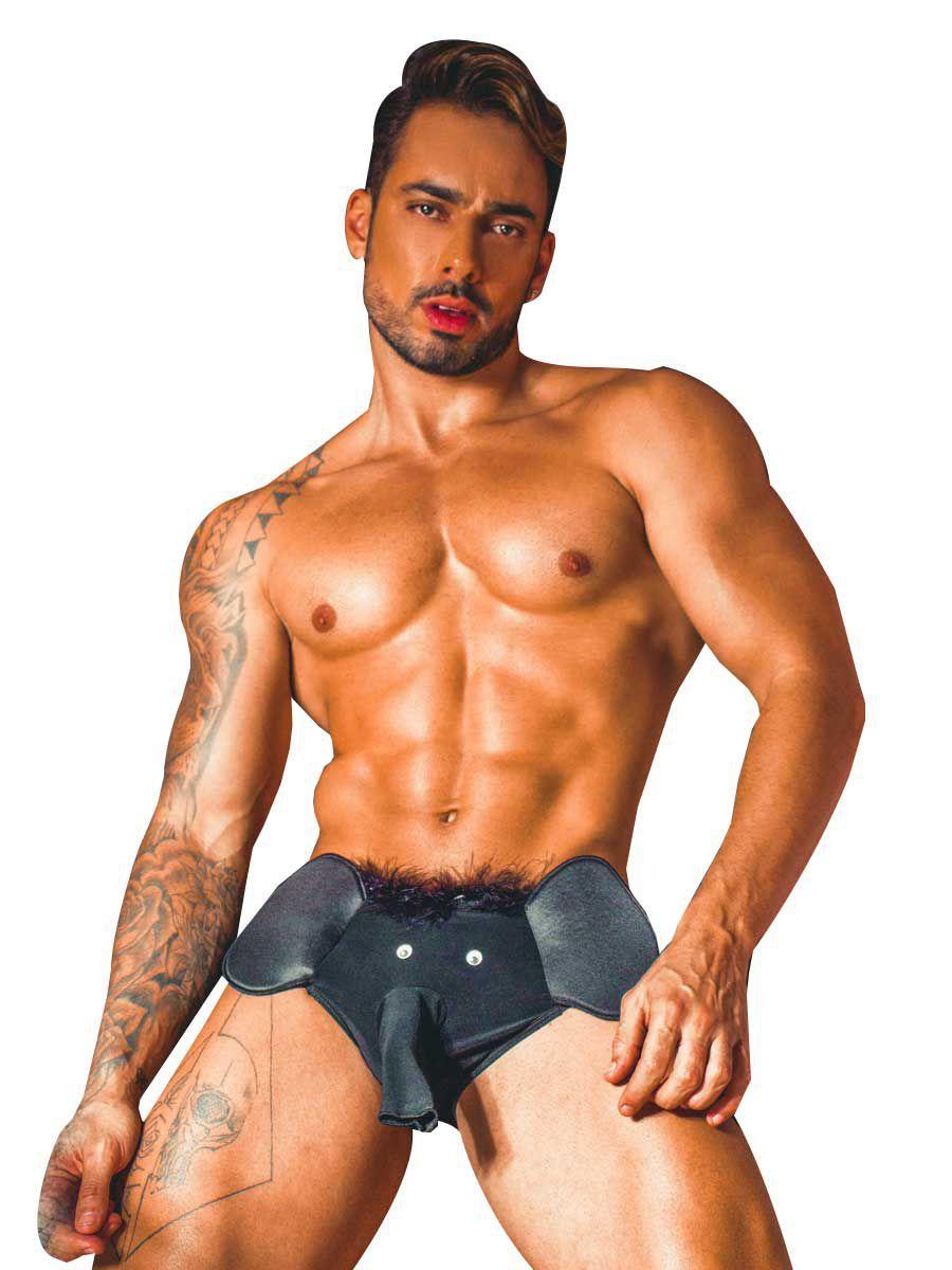 Imagem de Sunga Sex Elefante Cueca com Tromba