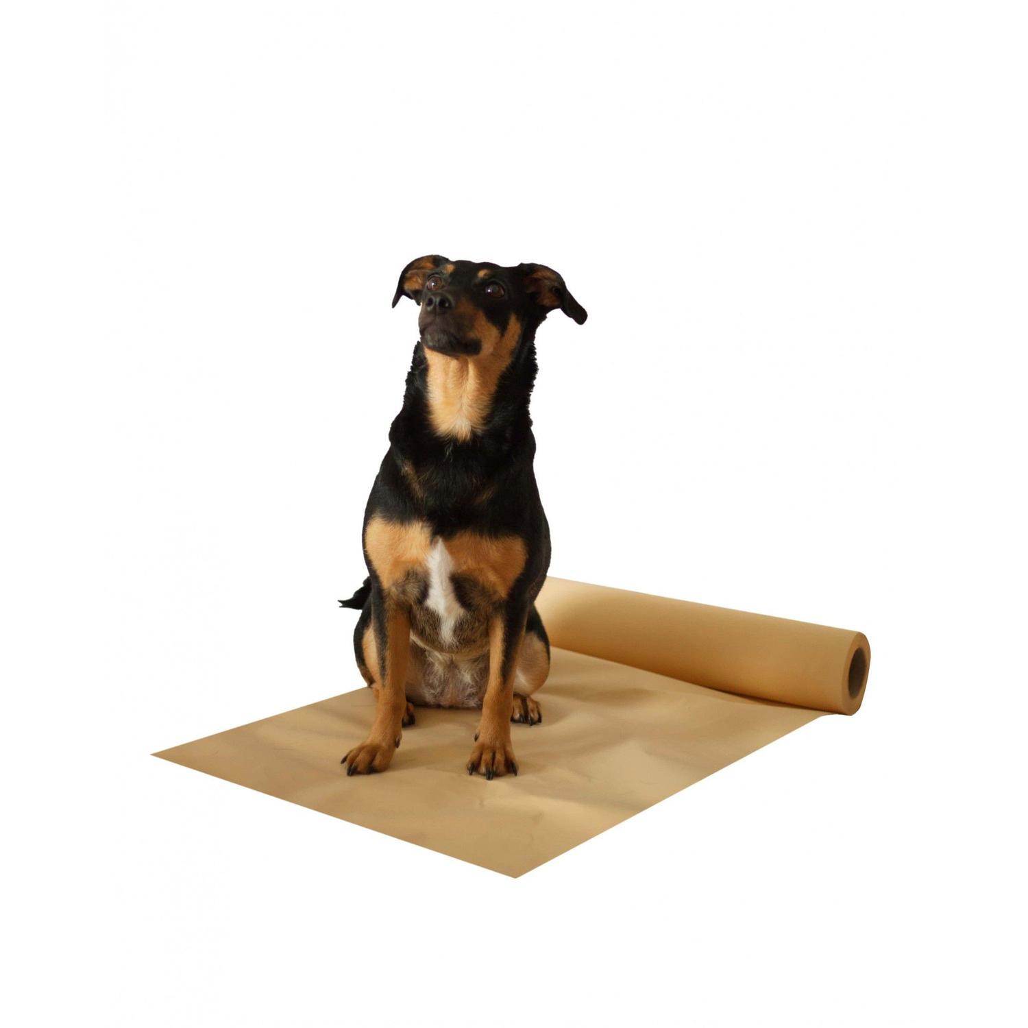 Tapete higiênico com atrativo canino Clearance