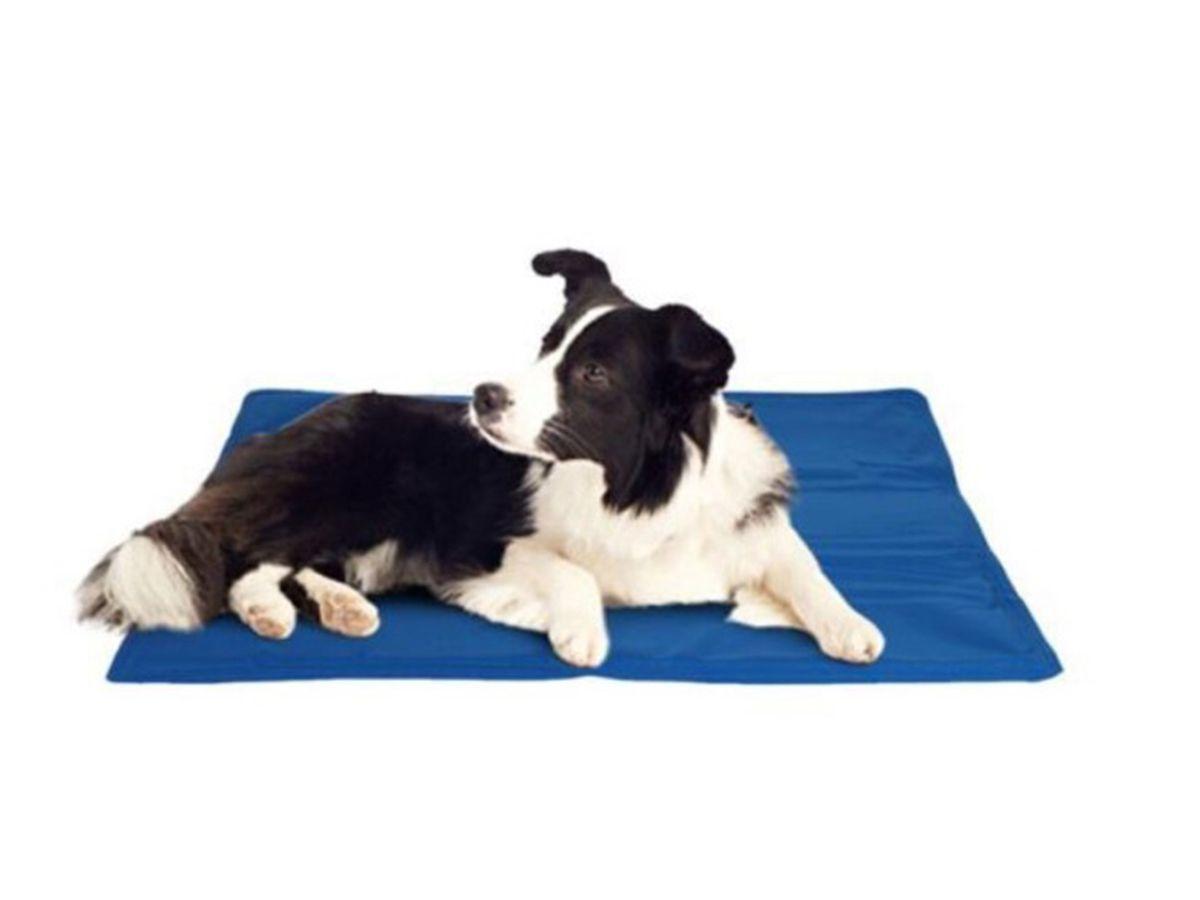 Tapete pet refrescante Clearance