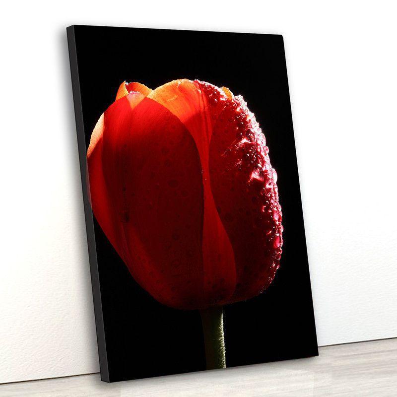 Tela canvas vert 70x45 tulipa vermelha com gotas de água - Crie Life -  Quadro Canvas - Magazine Luiza