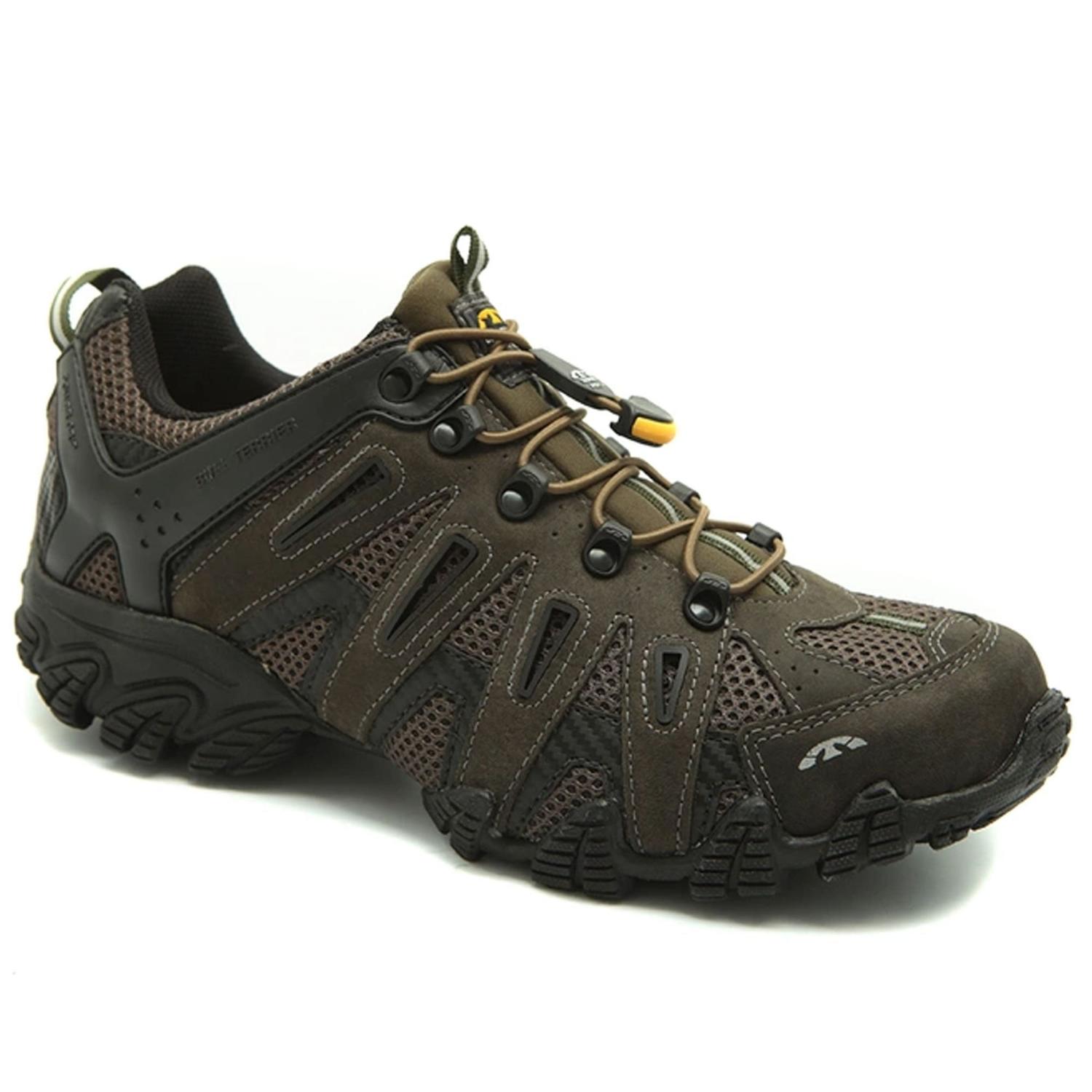 bull terrier dragon 3