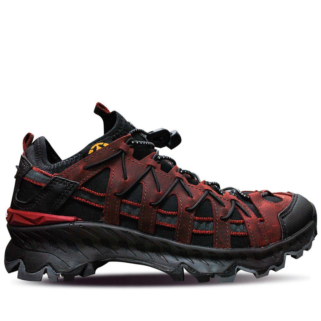 bull terrier tenis vermelho